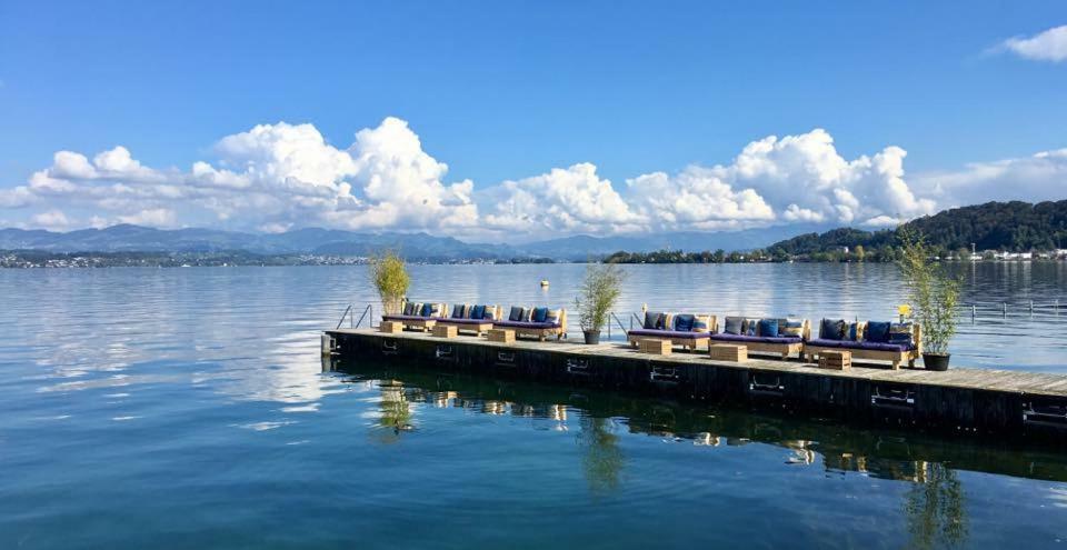 Lake View Private Studio Richterswil Exterior photo